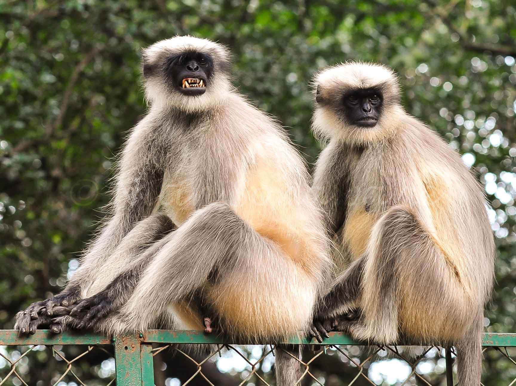 Matheran—In nature’s lap